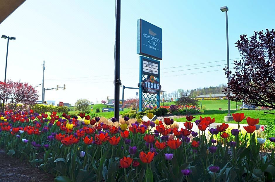Photo of Others in Spring Ridge