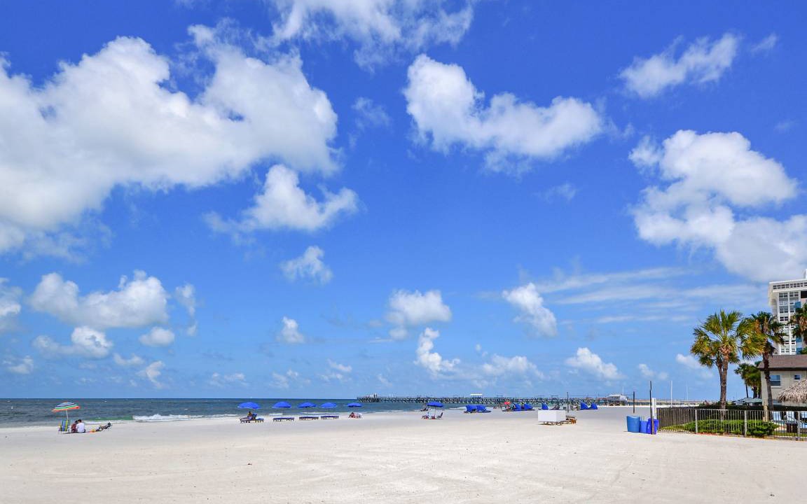 Photo of Others in North Redington Beach