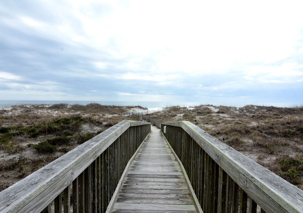 Photo of Others in Shell Island