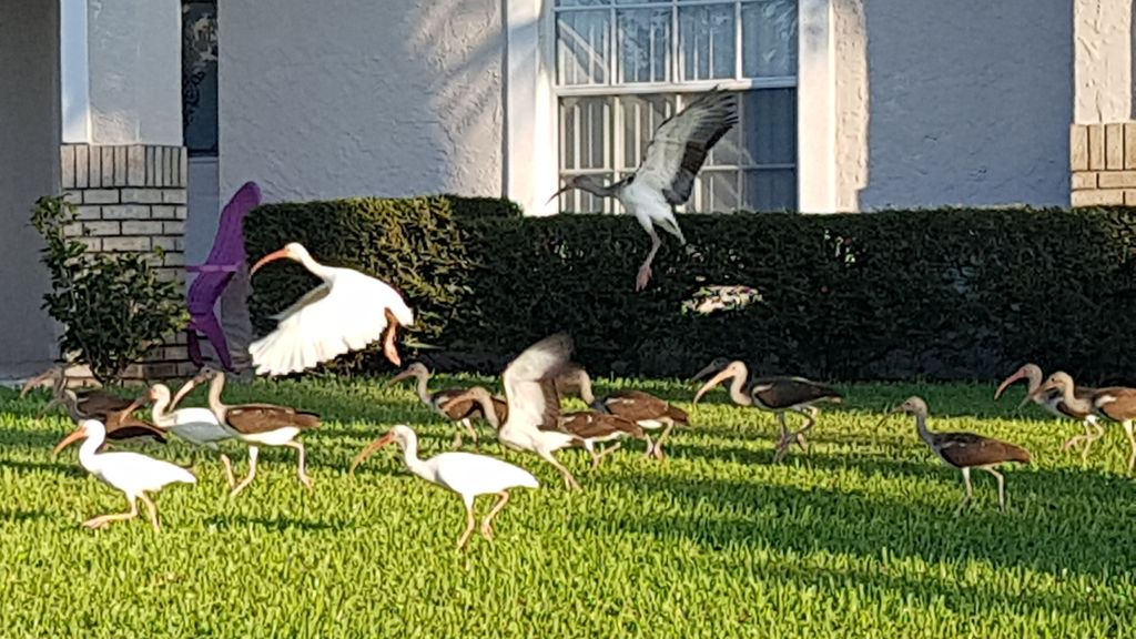 Photo of Others in Greater Groves
