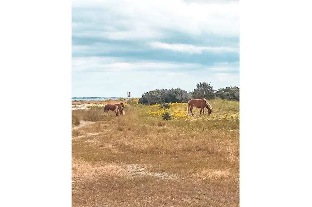 Photo of Others in Core Creek
