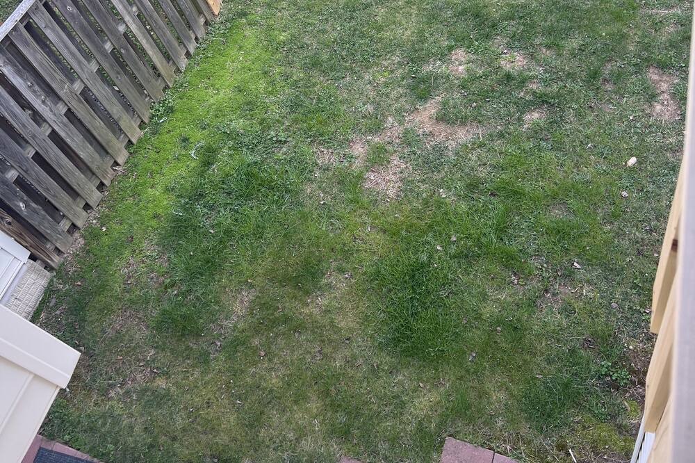 Photo of Outdoor in Chantilly