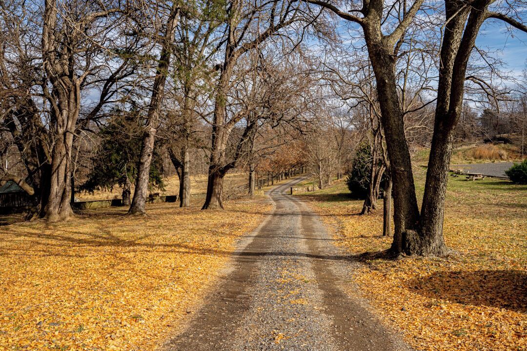 Photo of Outdoor in Round Hill