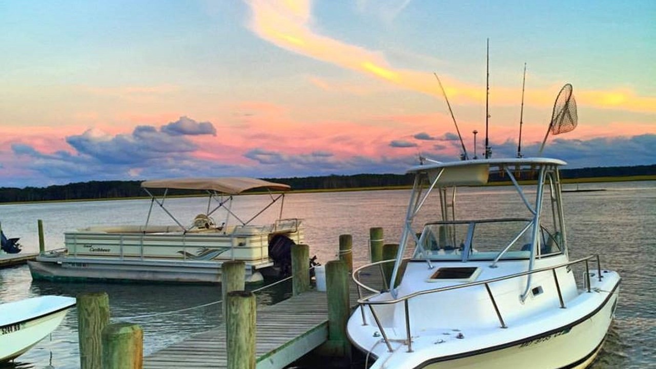 Photo of Outdoor in Chincoteague
