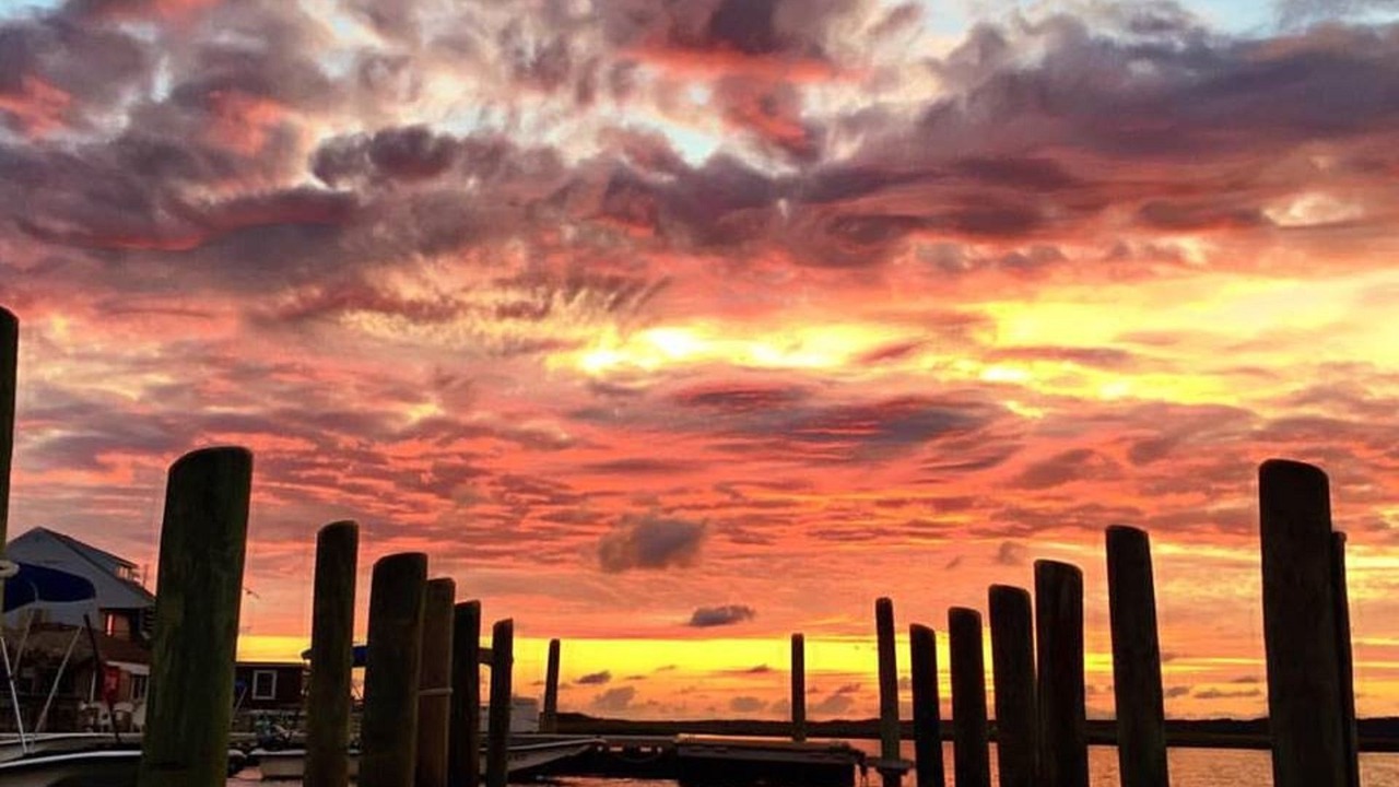 Photo of Others in Chincoteague