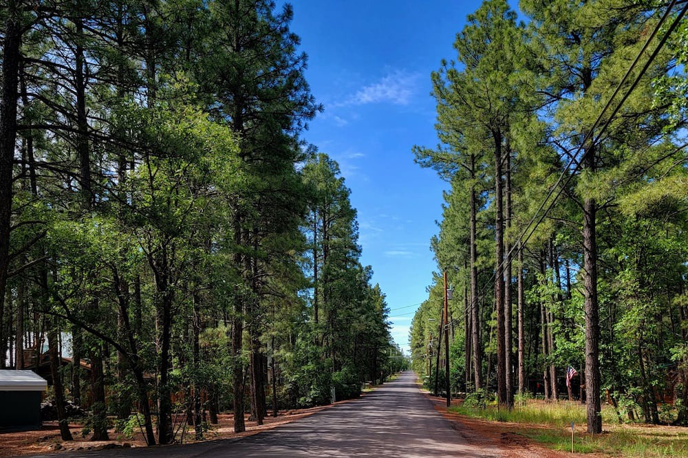 Photo of Outdoor in Pinetop-Lakeside