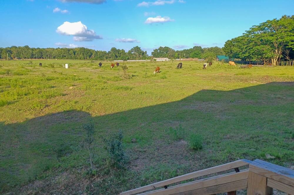 Photo of Others in Summerfield