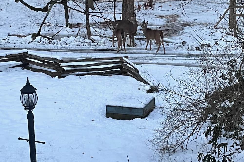 Photo of Others in Saratoga Springs