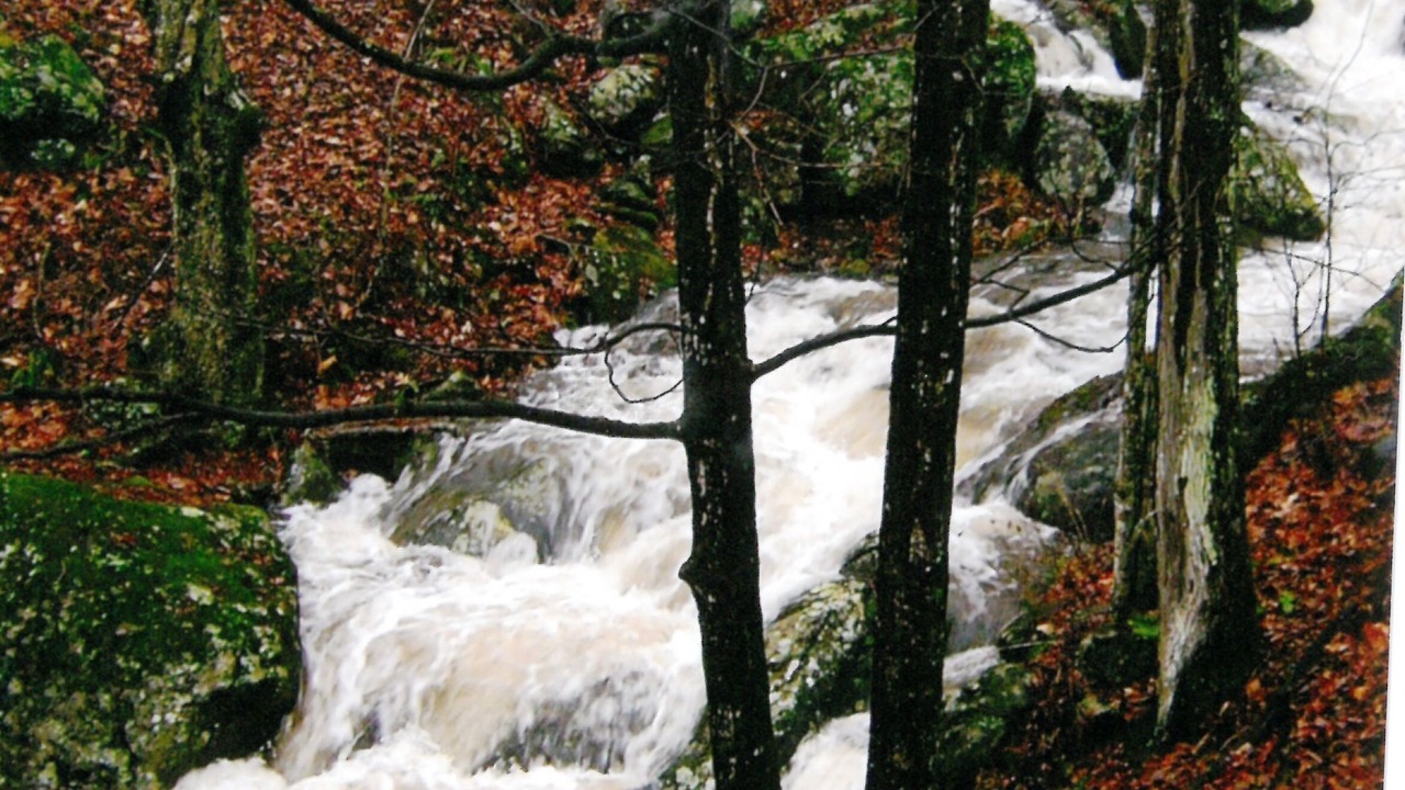 Photo of Outdoor in Bakersville