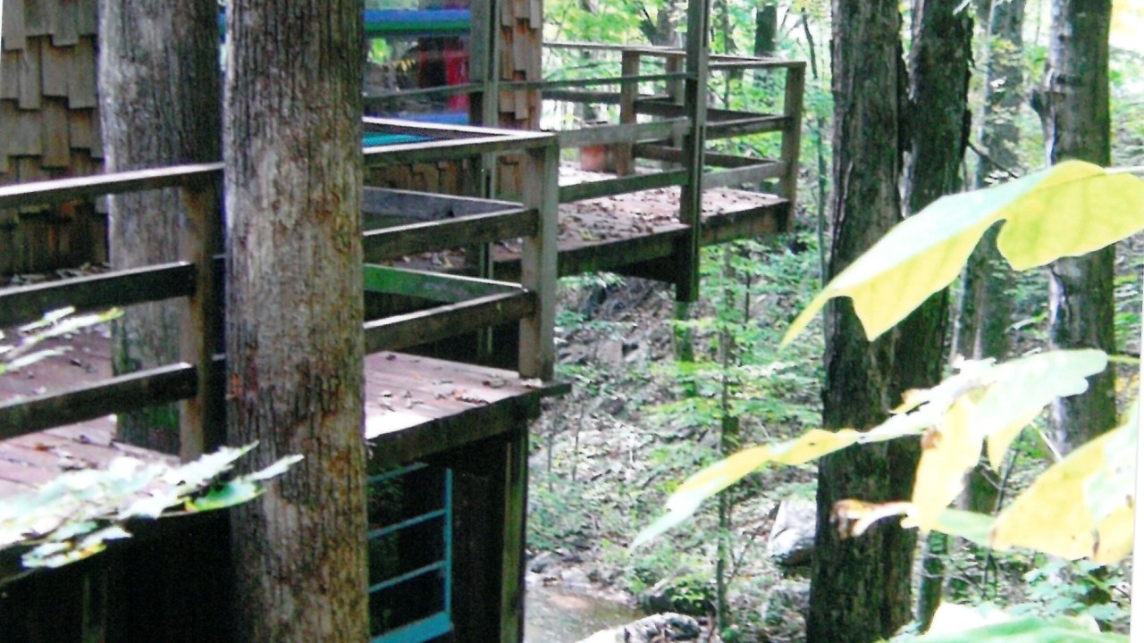Photo of Outdoor in Bakersville