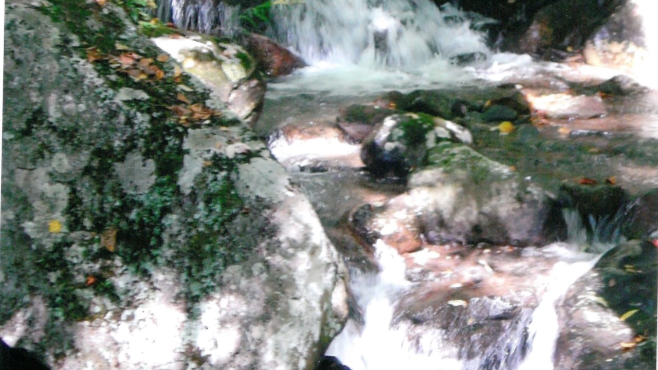 Photo of Outdoor in Bakersville