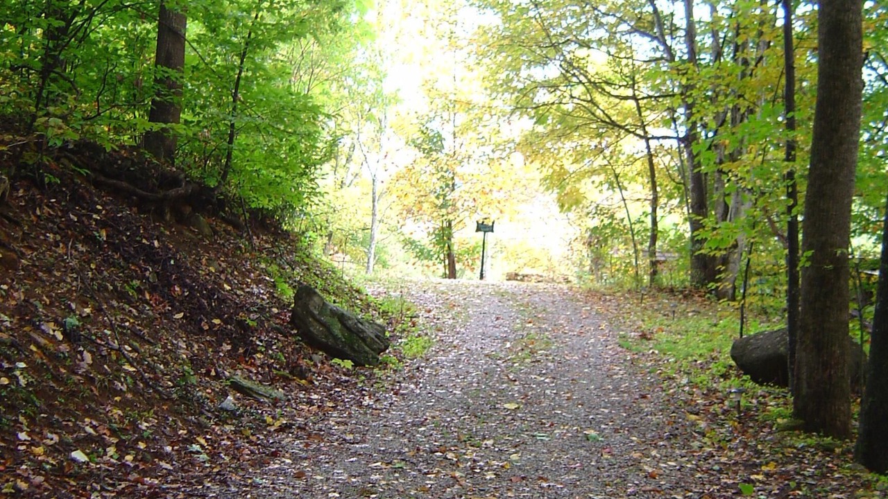 Photo of Outdoor in Bakersville