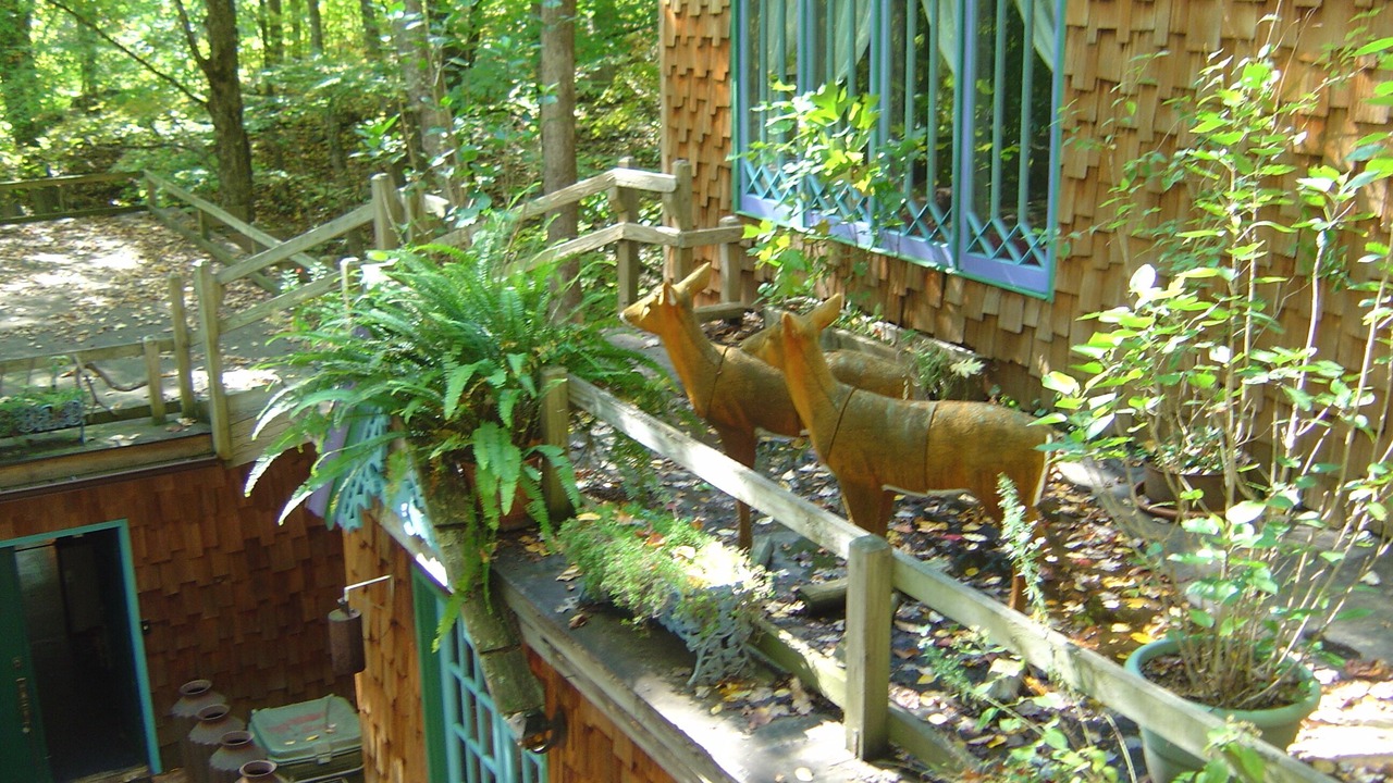 Photo of Outdoor in Bakersville