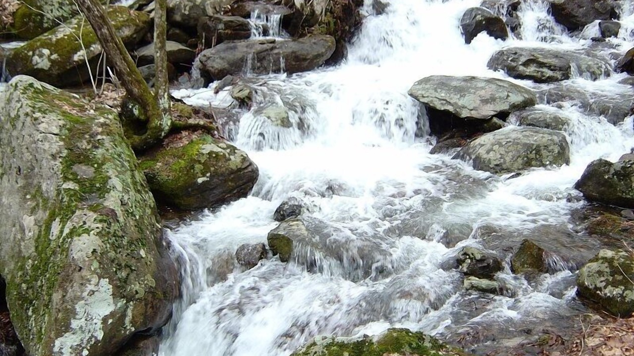 Photo of Outdoor in Bakersville