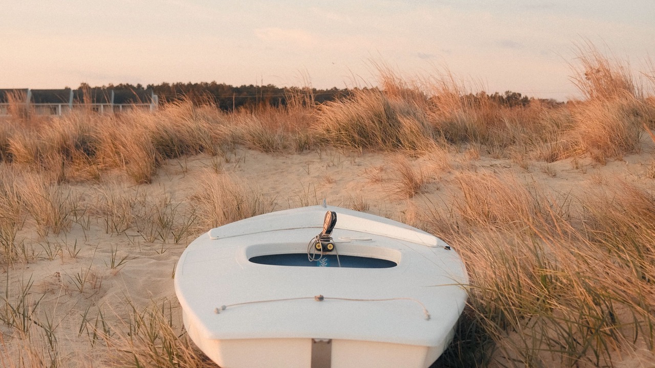 Photo of Outdoor in Dewey Beach