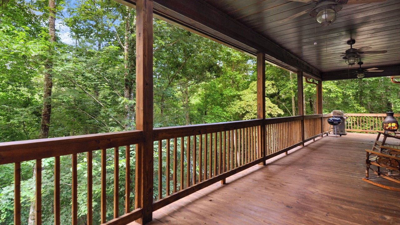 Photo of Outdoor in Ellijay