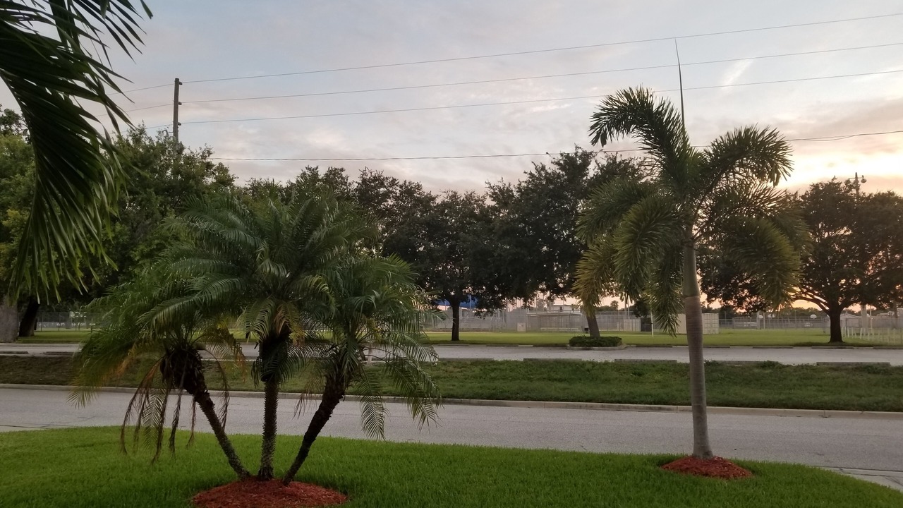 Photo of Outdoor in Greater Pinellas Point