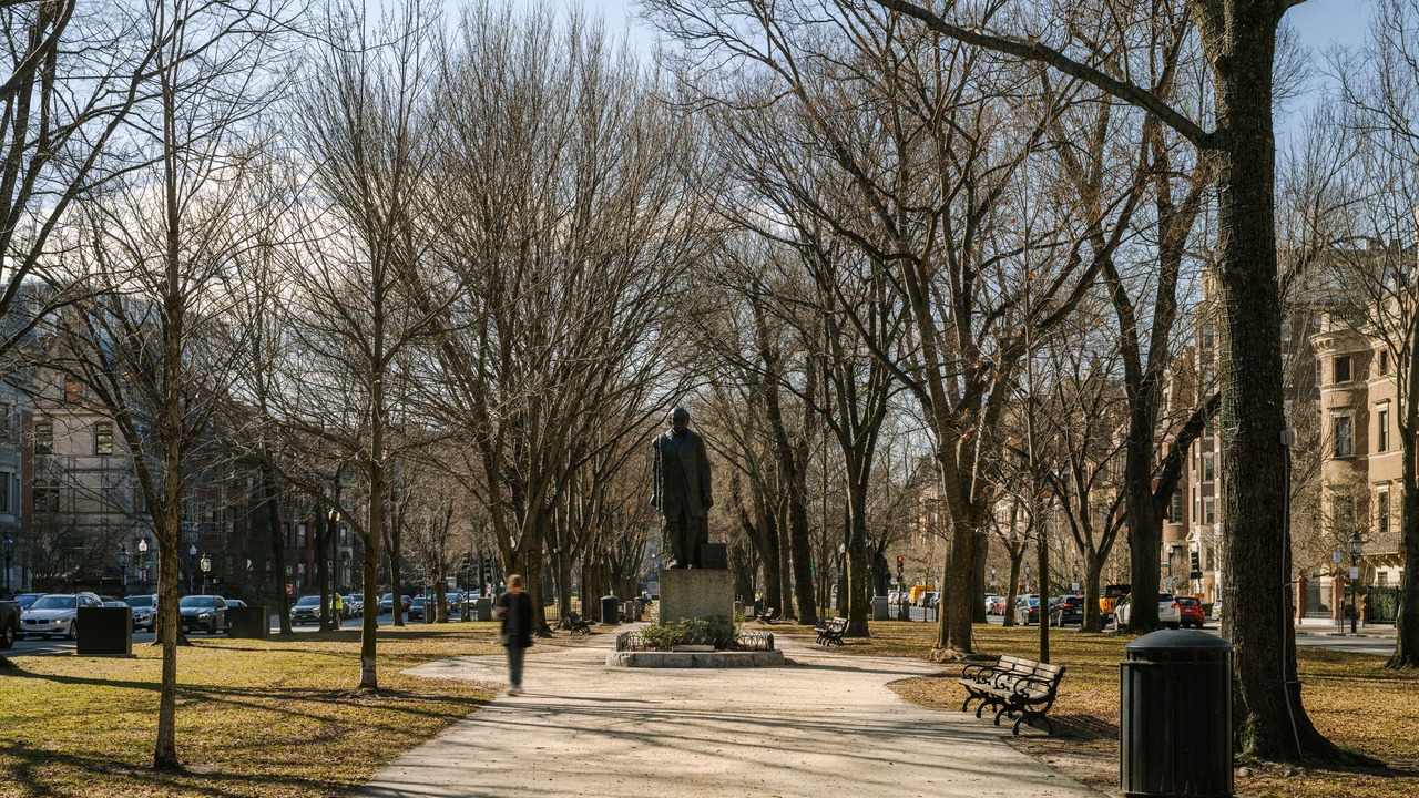 Photo of Others in Back Bay West
