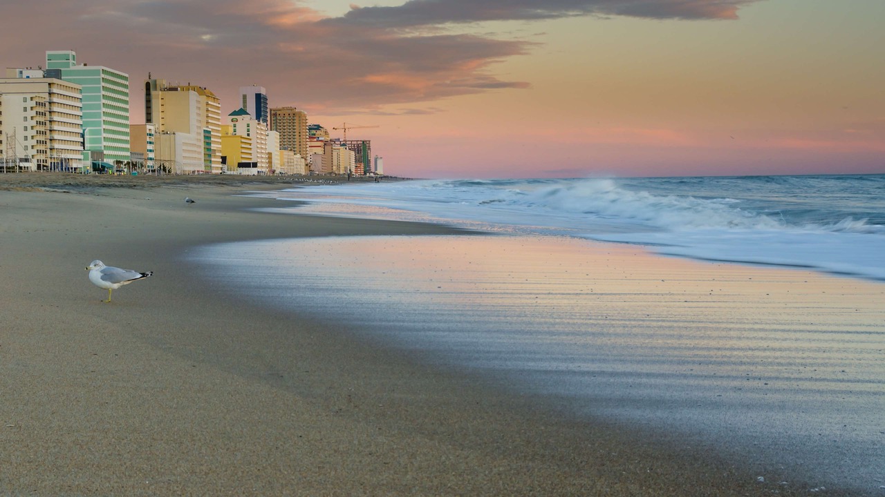 Photo of Others in Northeast Virginia Beach