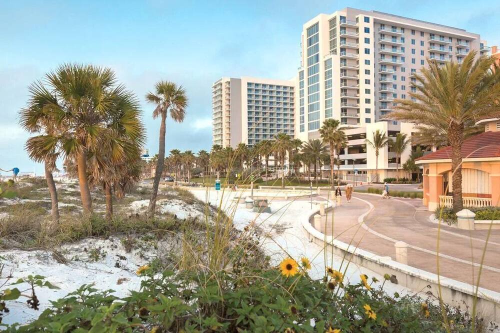 Photo of Others in Clearwater Beach