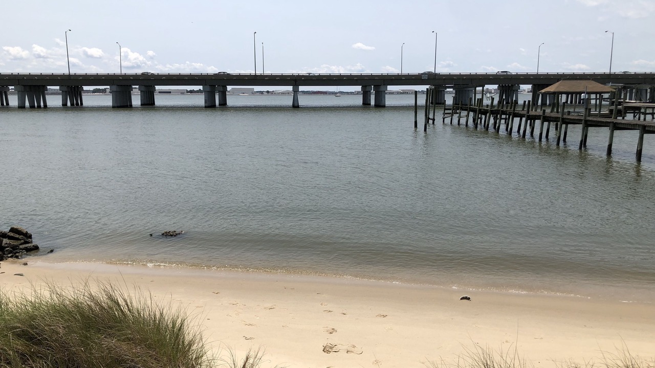 Photo of Others in Willoughby Spit
