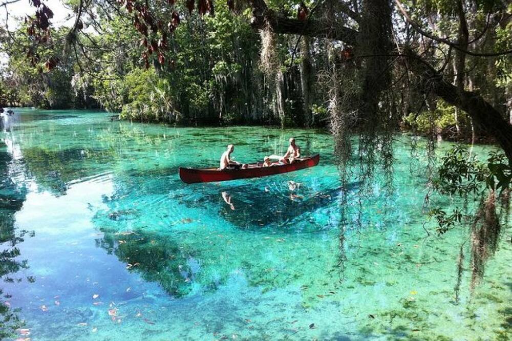 Photo of Others in Crystal River