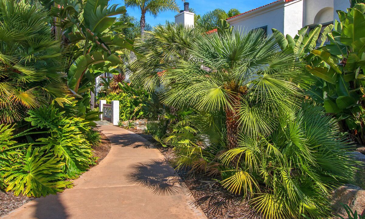 Photo of Outdoor in Rancho Penasquitos