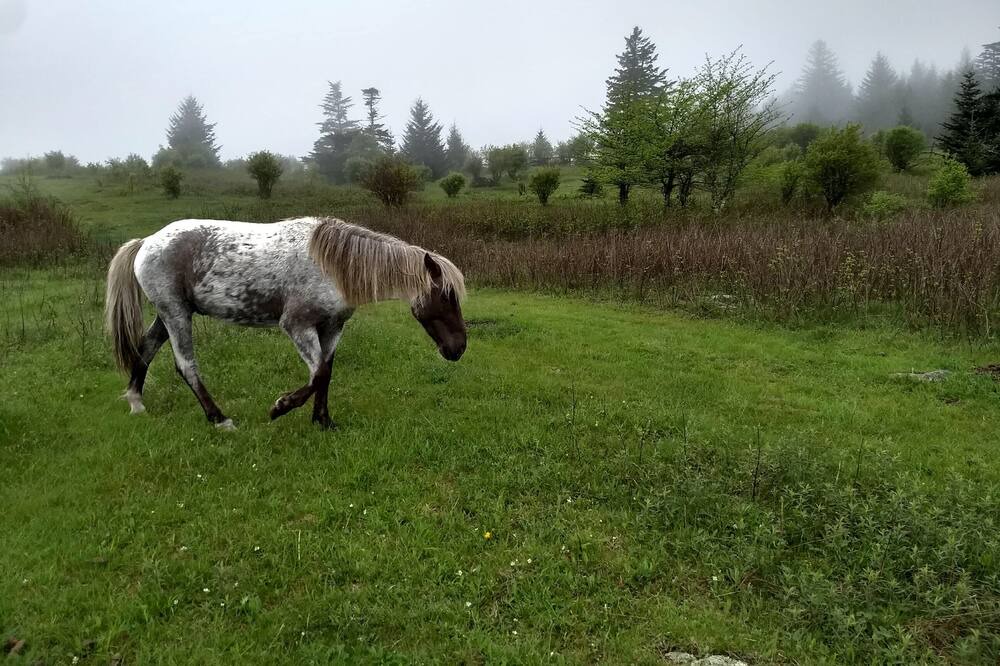 Photo of Outdoor in Mouth of Wilson