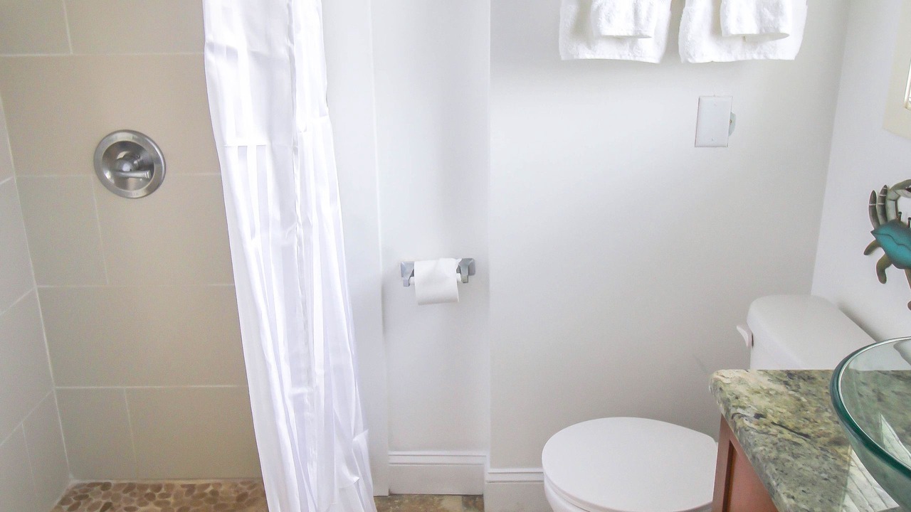 Photo of Bathroom in North Redington Beach