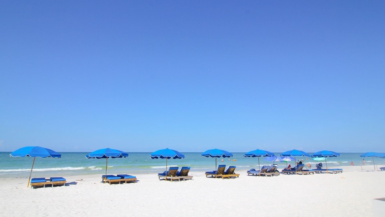 Photo of Others in North Redington Beach