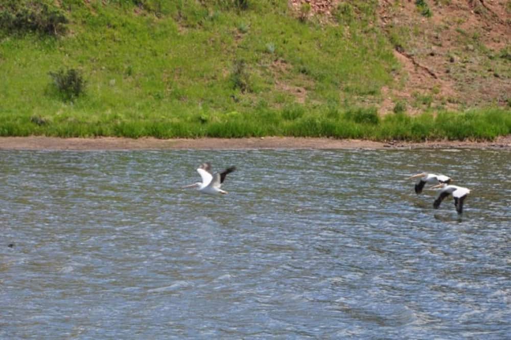 Photo of Others in Spring Valley