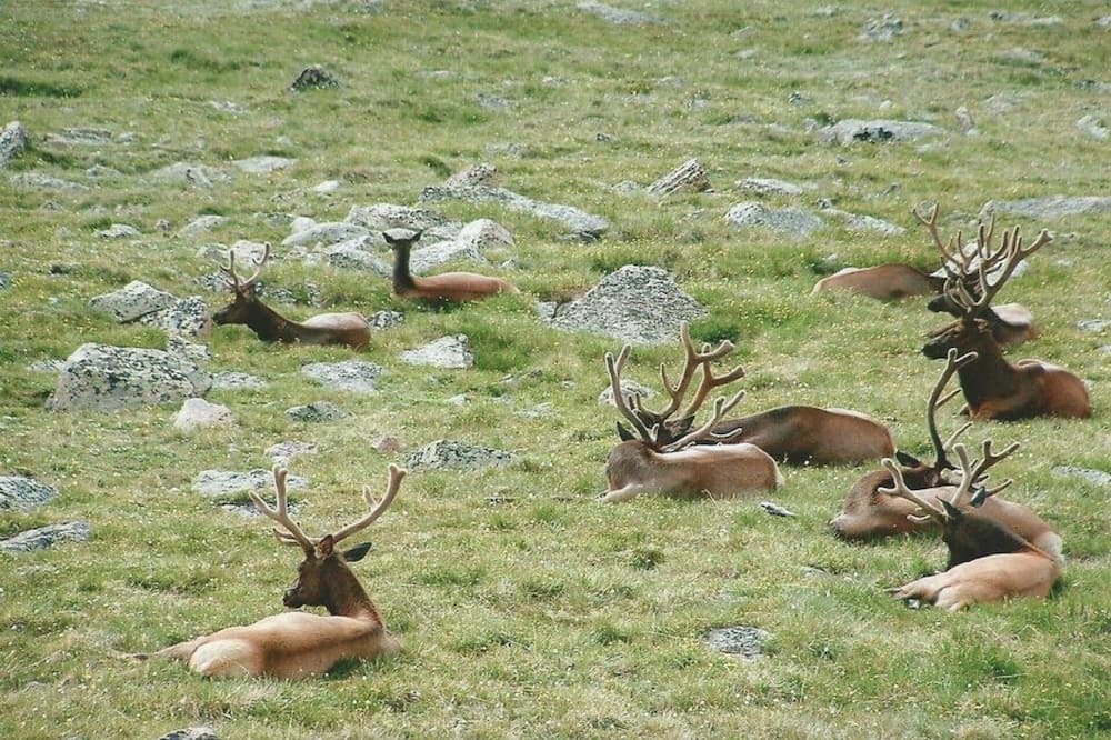 Photo of Others in Spring Valley