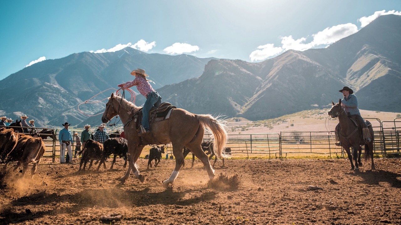 Photo of Others in Steamboat Springs