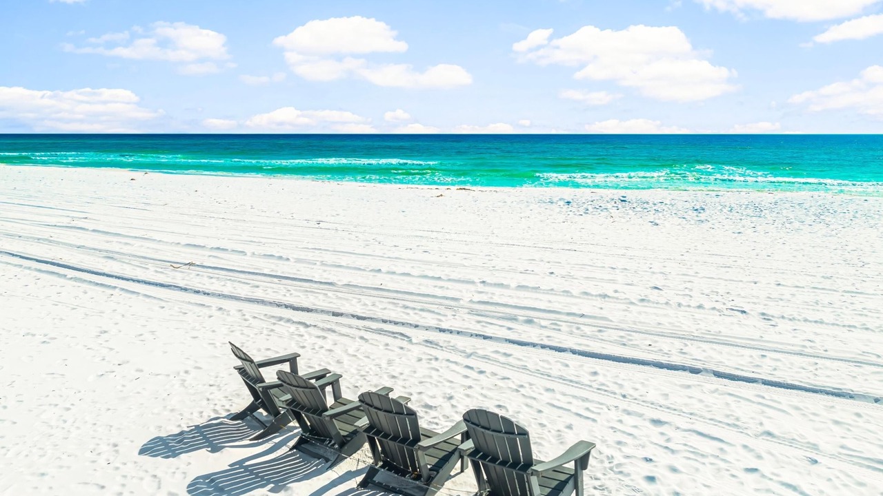 Photo of Others in Gulf Pines