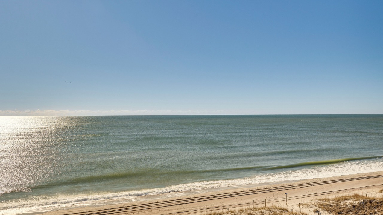 Photo of Others in Emerald Isle