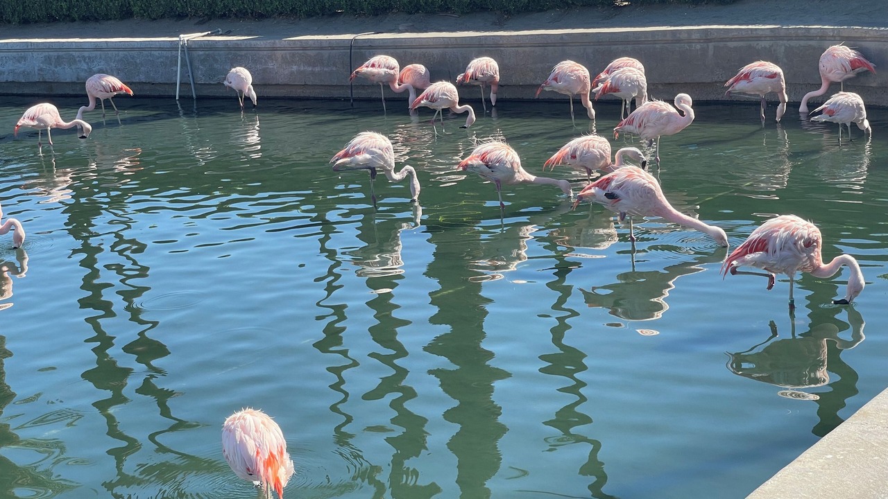 Photo of Others in Bayou Oaks