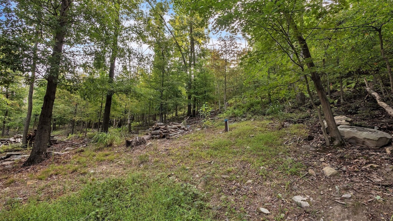 Photo of Outdoor in Millville