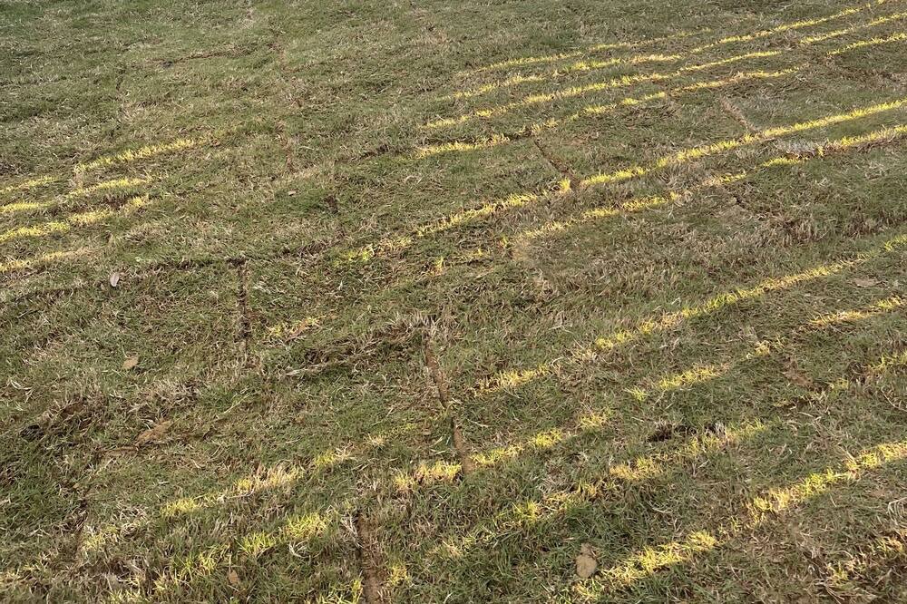 Photo of Outdoor in Wright