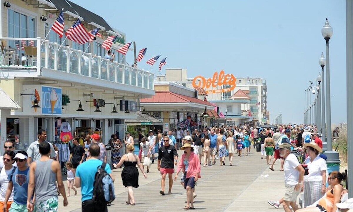 Photo of Others in Bayside