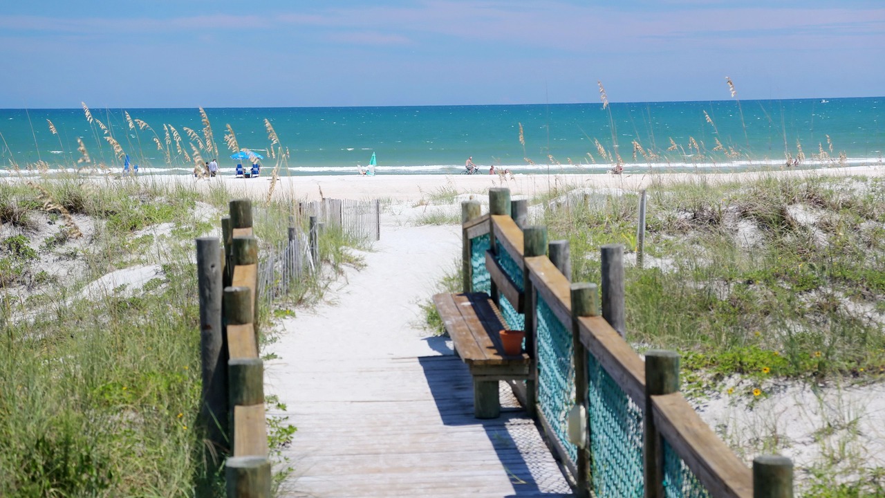 Photo of Others in St. Augustine Beach