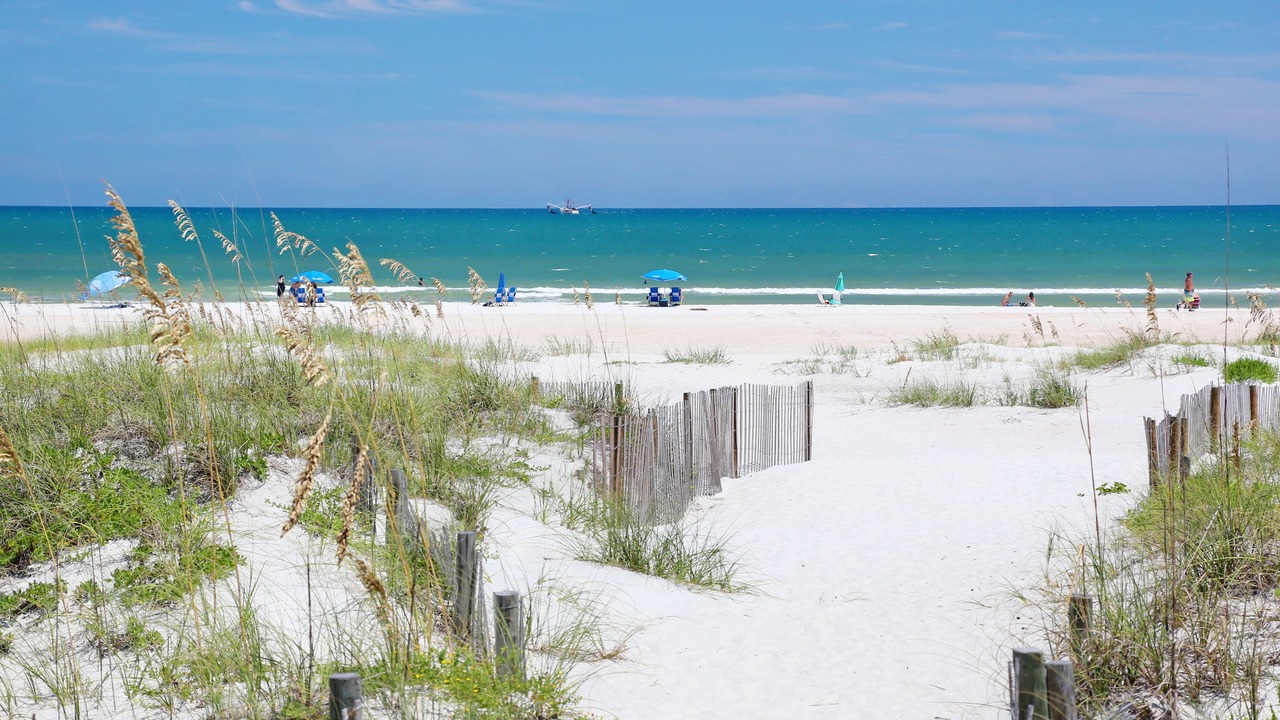 Photo of Others in St. Augustine Beach