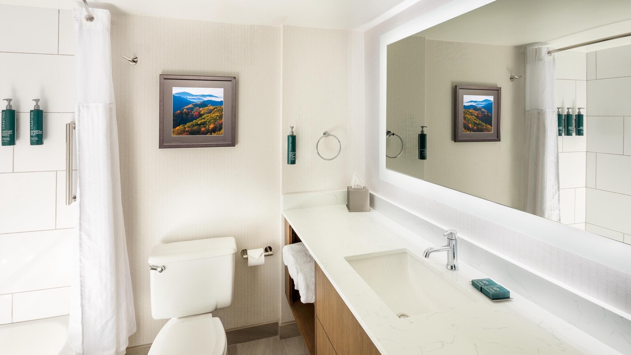 Photo of Bathroom in Johnson City