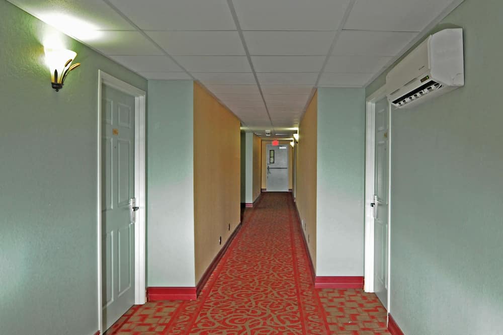 Photo of Others in Flor-a-mar