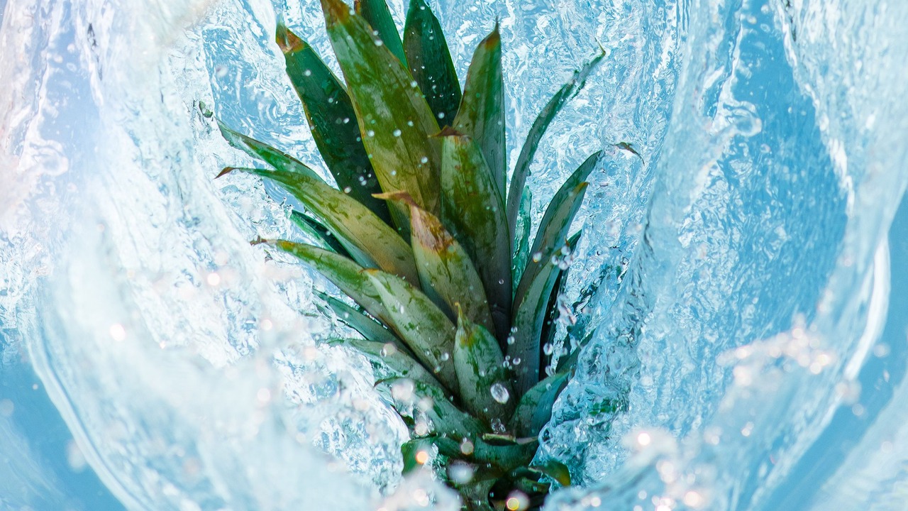 Photo of Outdoor in Key West