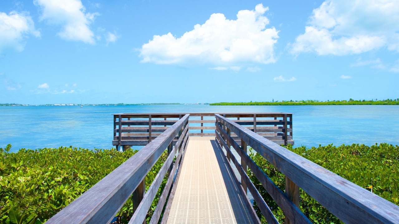 Photo of Outdoor in Key West