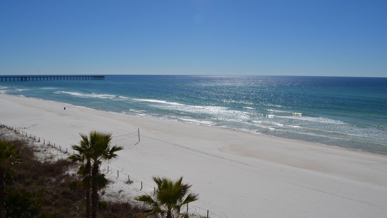 Photo of Others in Panama City Beach
