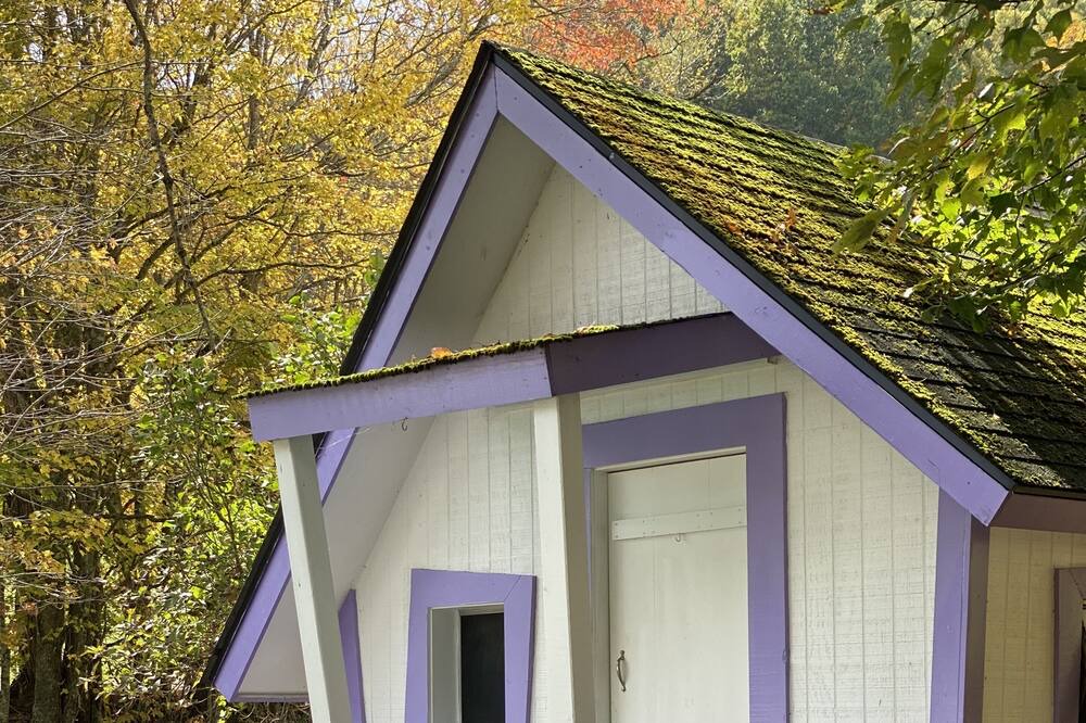 Photo of Outdoor in Zionville