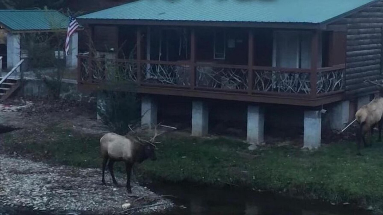 Photo of Outdoor in Cherokee