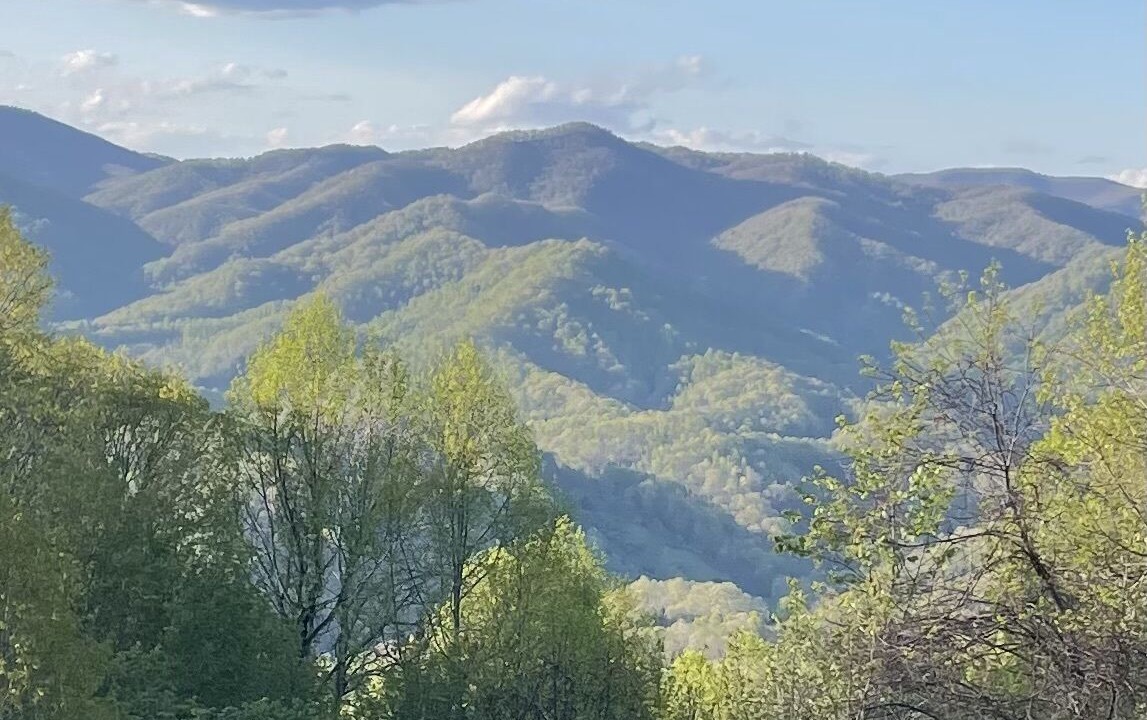Photo of Others in Bakersville