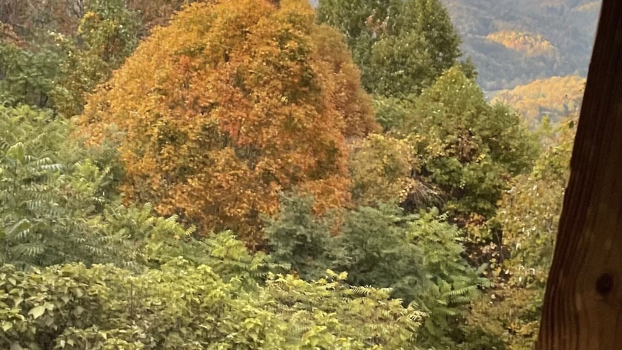 Photo of Others in Bakersville